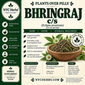 Bhringraj Herb (False Daisy)
