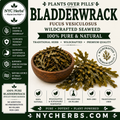 Bladderwrack