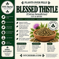 Blessed Thistle Herb