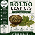 Boldo Leaf