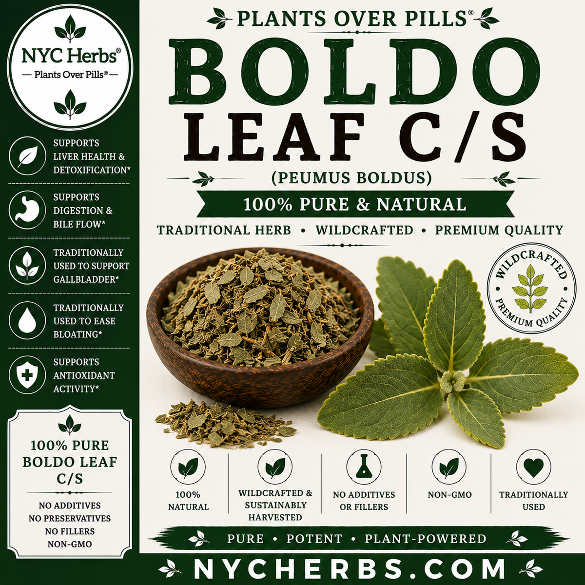 Boldo Leaf