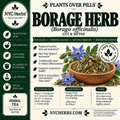 Borage Herb