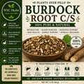 Burdock Root c/s | Skin Clarity & Blood Purifier