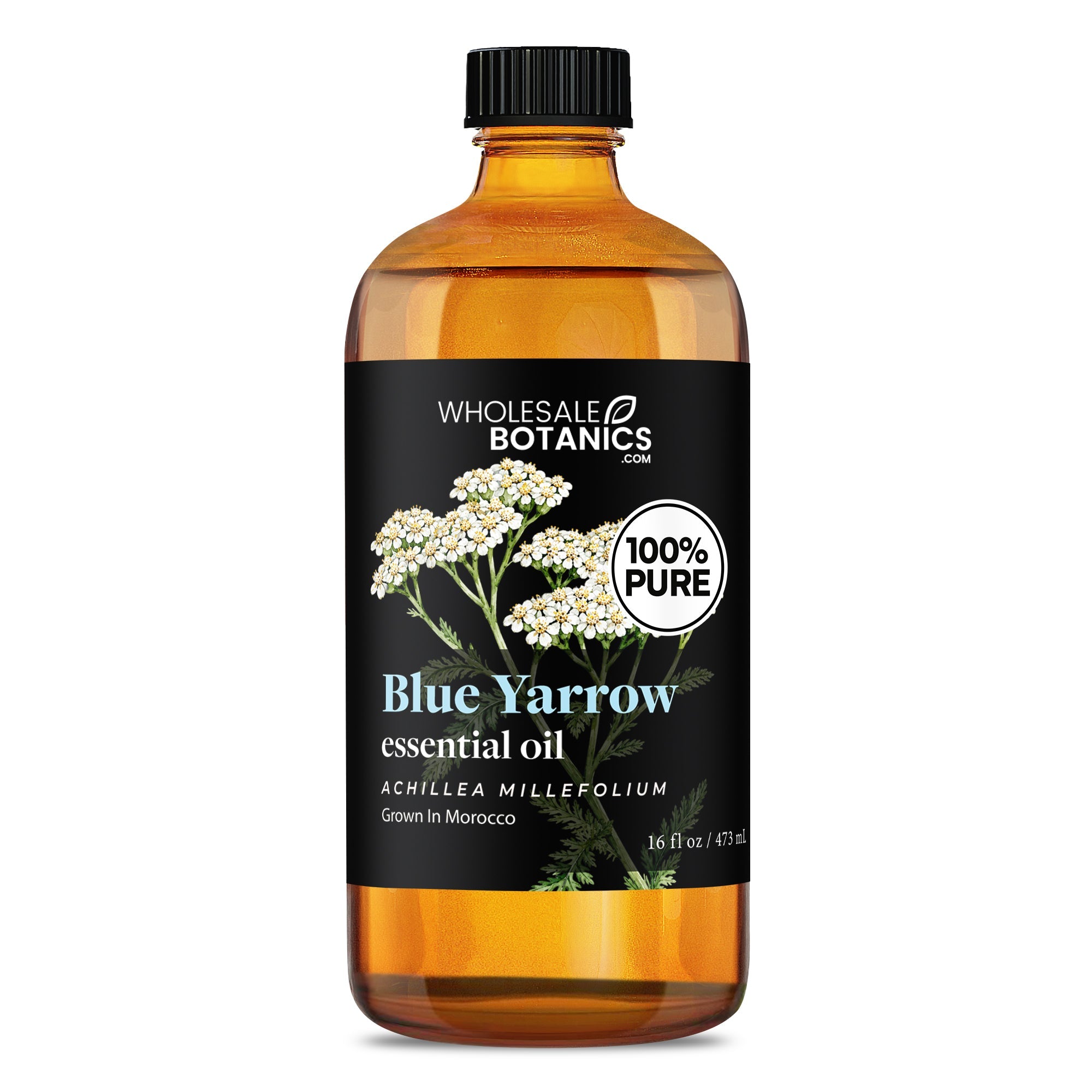 Blue Yarrow Essential Oil