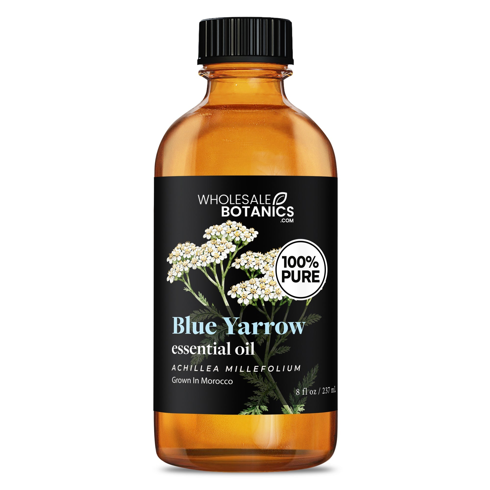 Blue Yarrow Essential Oil