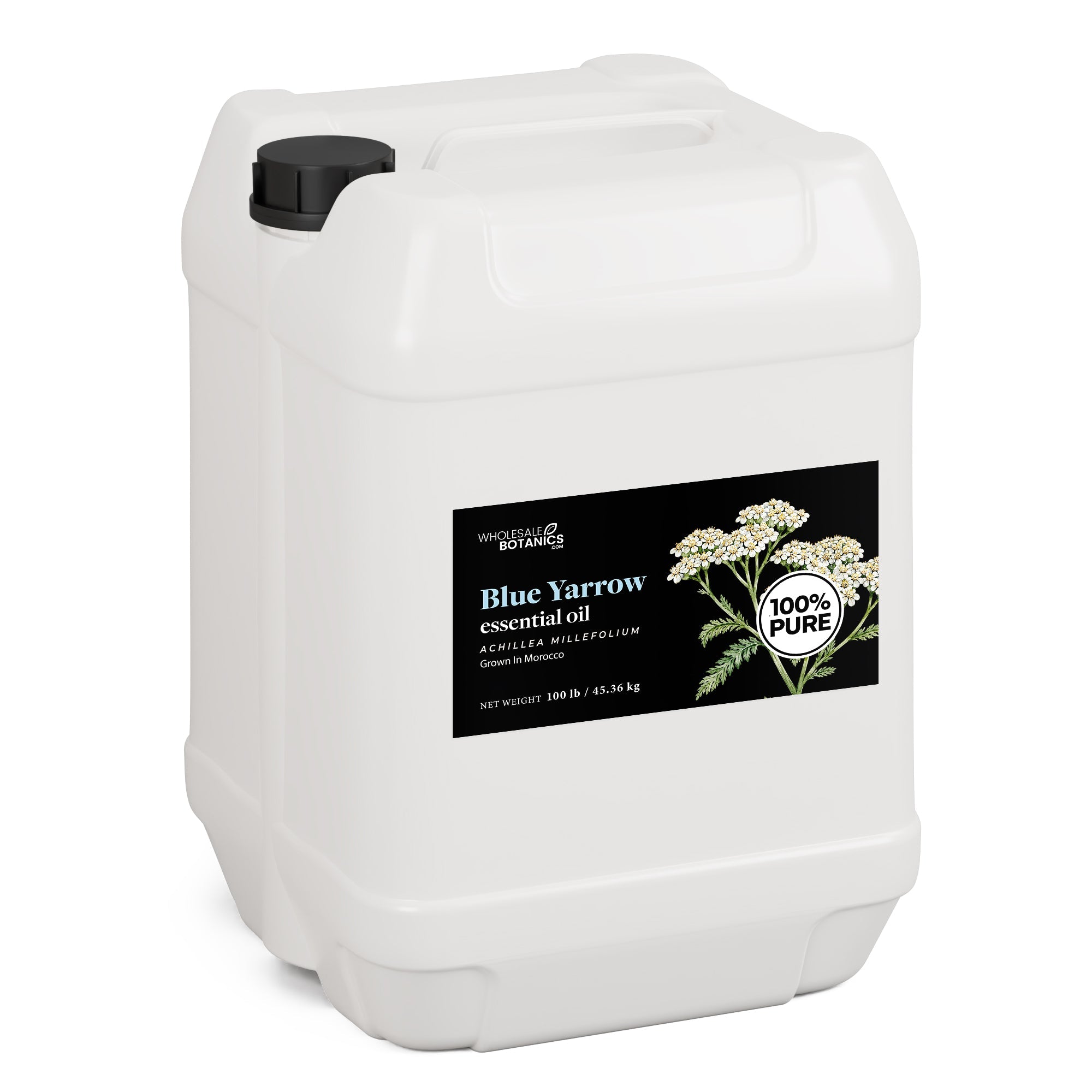 Blue Yarrow Essential Oil