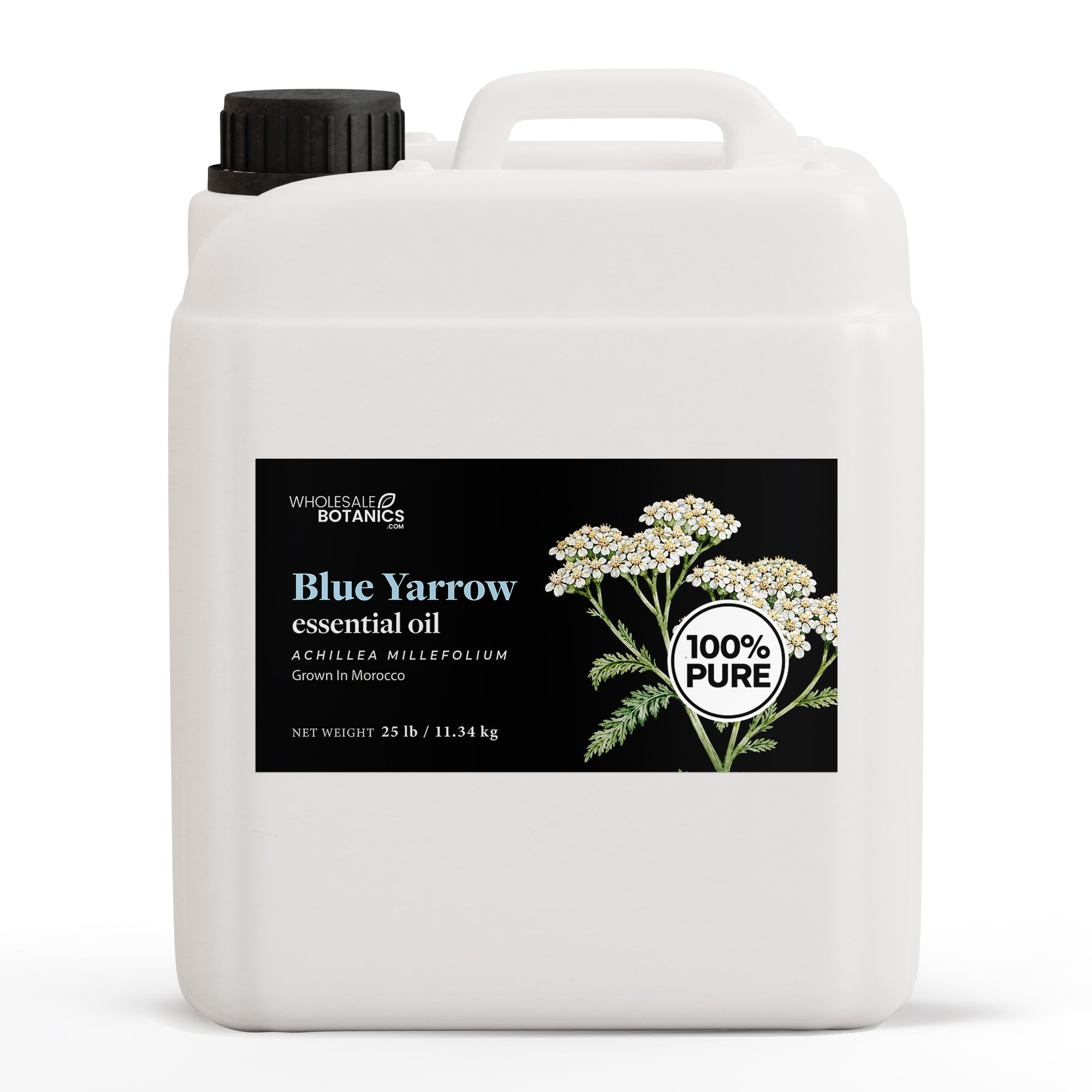 Blue Yarrow Essential Oil
