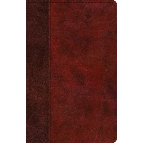 ESV Large Print Thinline Bible, Red Letter (Trutone, Burgundy/Red, Timeless Design)