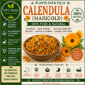 Calendula (Marigold) | Skin Healing & Inner Glow
