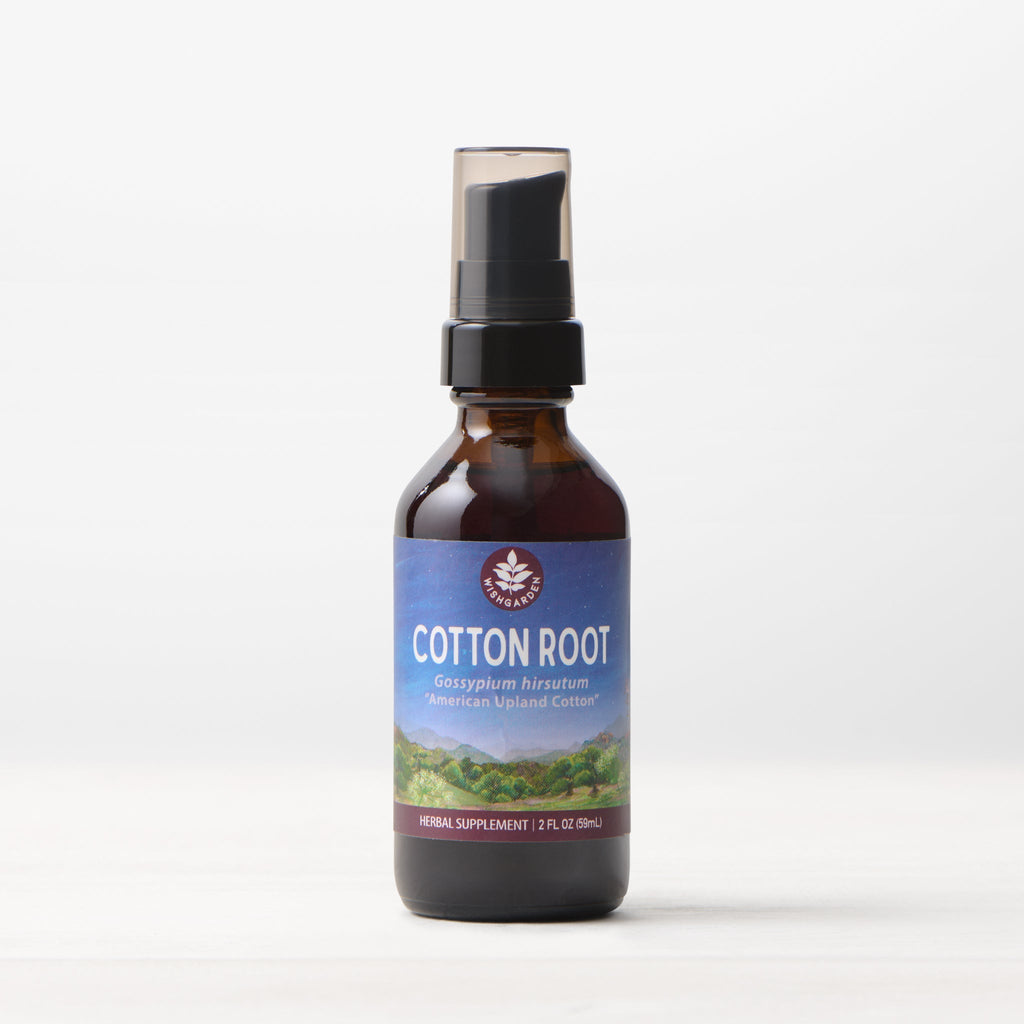 Cotton Root Bark Tincture