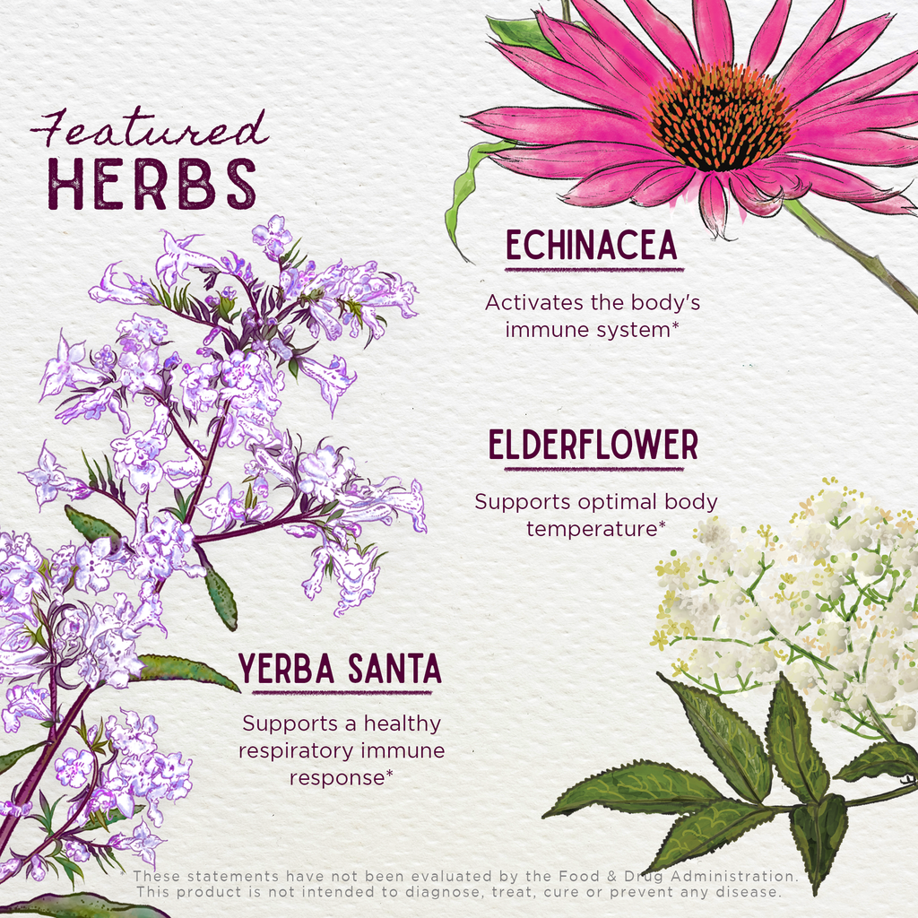 Congestion Rescue, Immune Support for Pregnancy