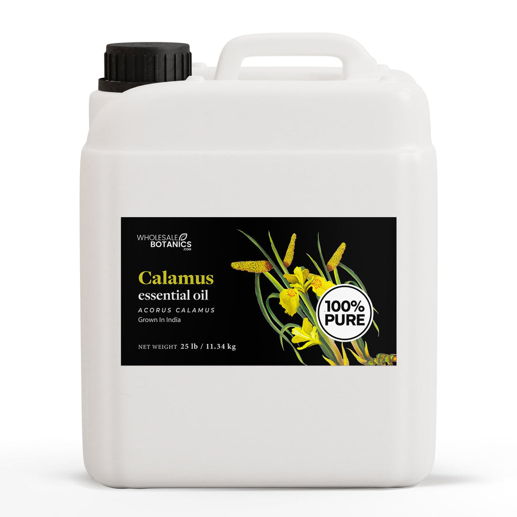 Calamus Essential Oil