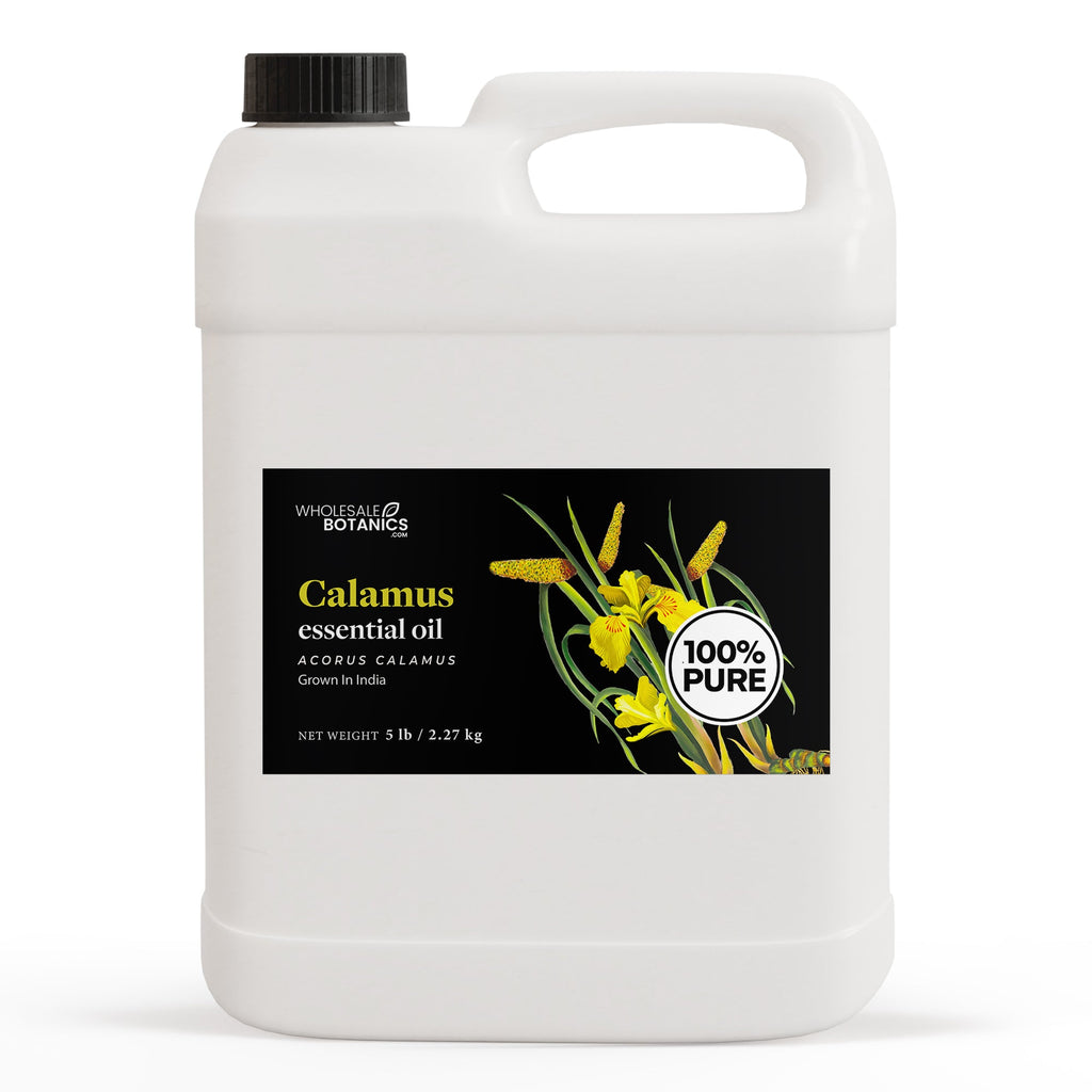 Calamus Essential Oil