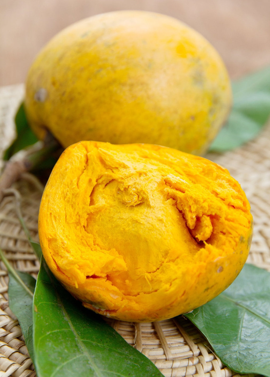 Canistel 'Arue' (Pouteria campechiana)