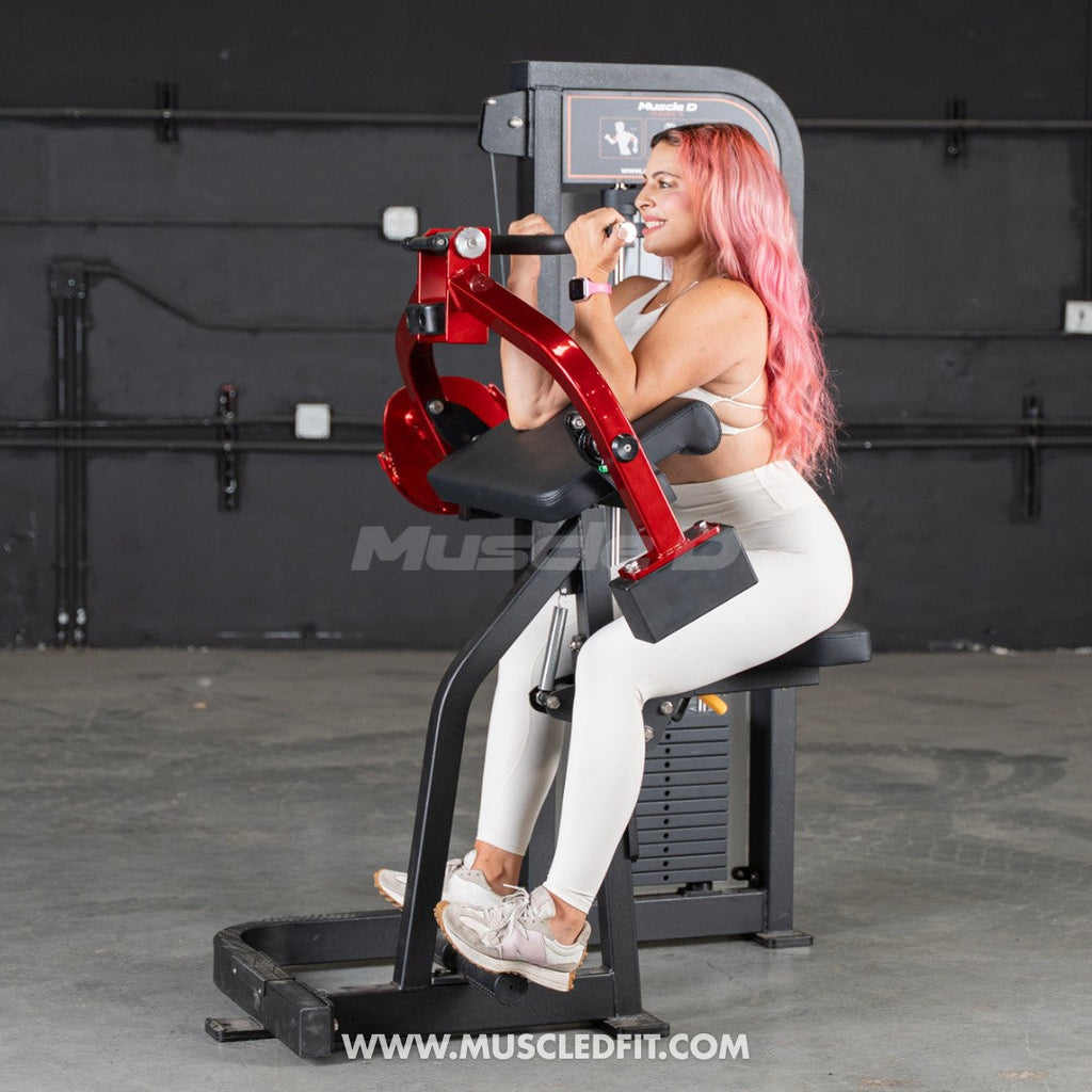 Classic V2 Selectorized Biceps Curl | Muscle D Fitness | 150lb Stack