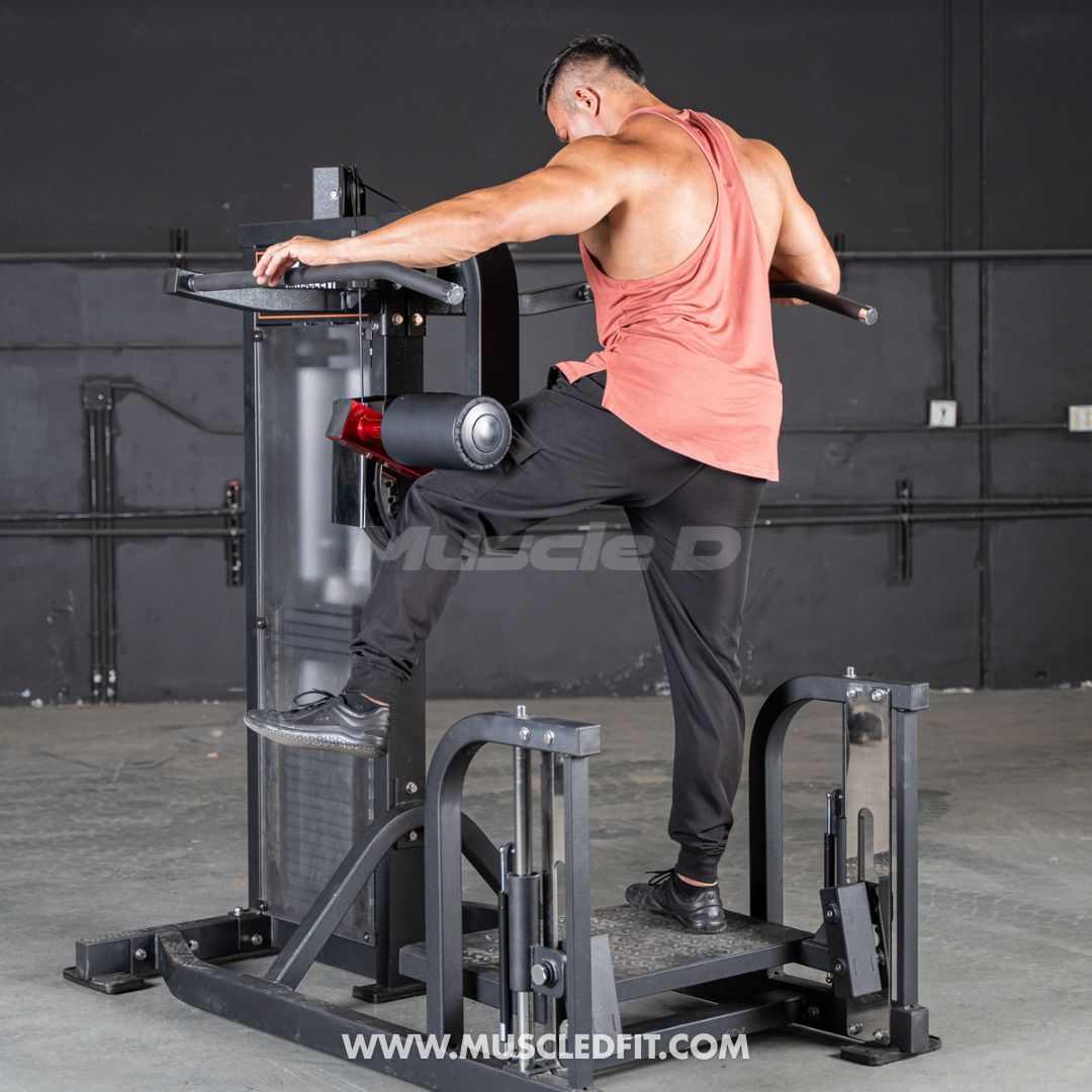 Classic V2 Selectorized Multi-Hip Machine | Hip & Glute Trainer by Muscle D
