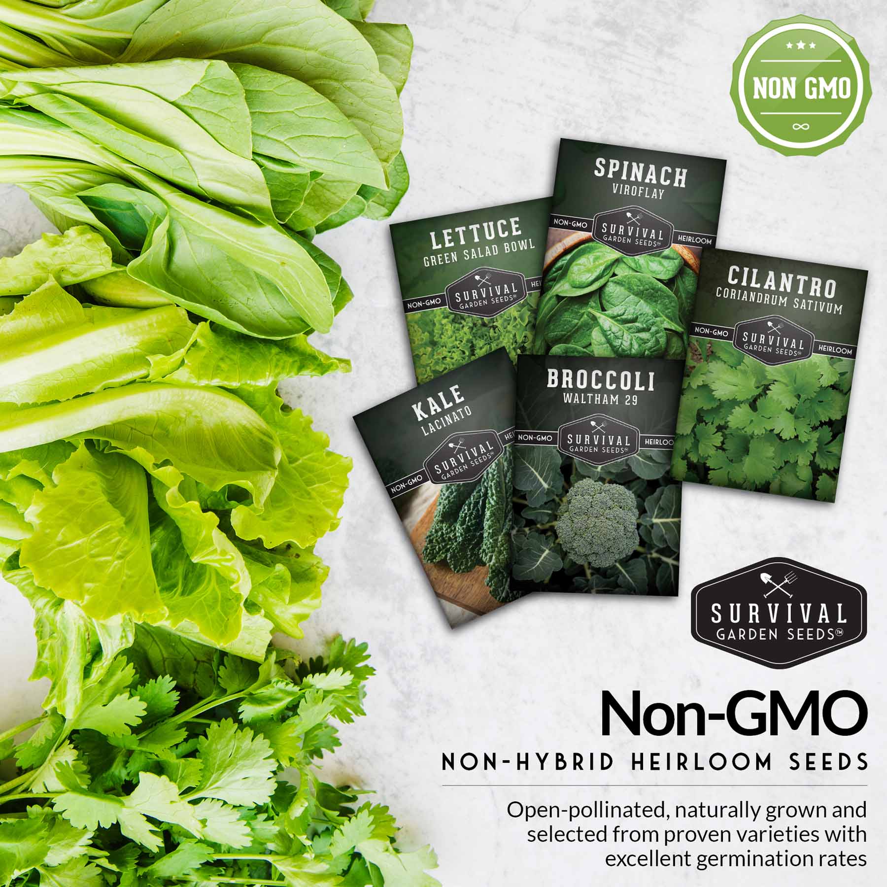 Cool Weather Garden Seeds Collection – 5 Heirloom Non-GMO Vegetables for Fall & Spring Planting | Cold-Hardy Greens & Herbs