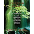 John, Judah, Paul & ?: Comments on First John, Second John, Third John, Judah (Jude), Hebrews, Galatians