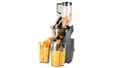 Slow Juicer & Sorbet Maker — Platinum