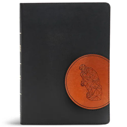 CSB Apologetics Study Bible for Students, Black/Tan Leathertouch: Black Letter, Teens, Study Notes and Commentary, Ribbon Marker, Sewn Binding, Easy-T