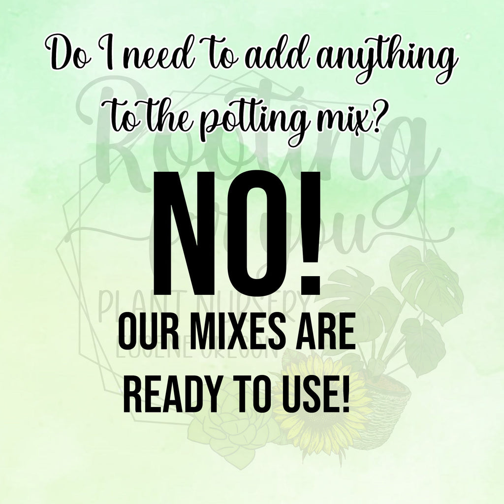 Raspberry Premium Potting Mix