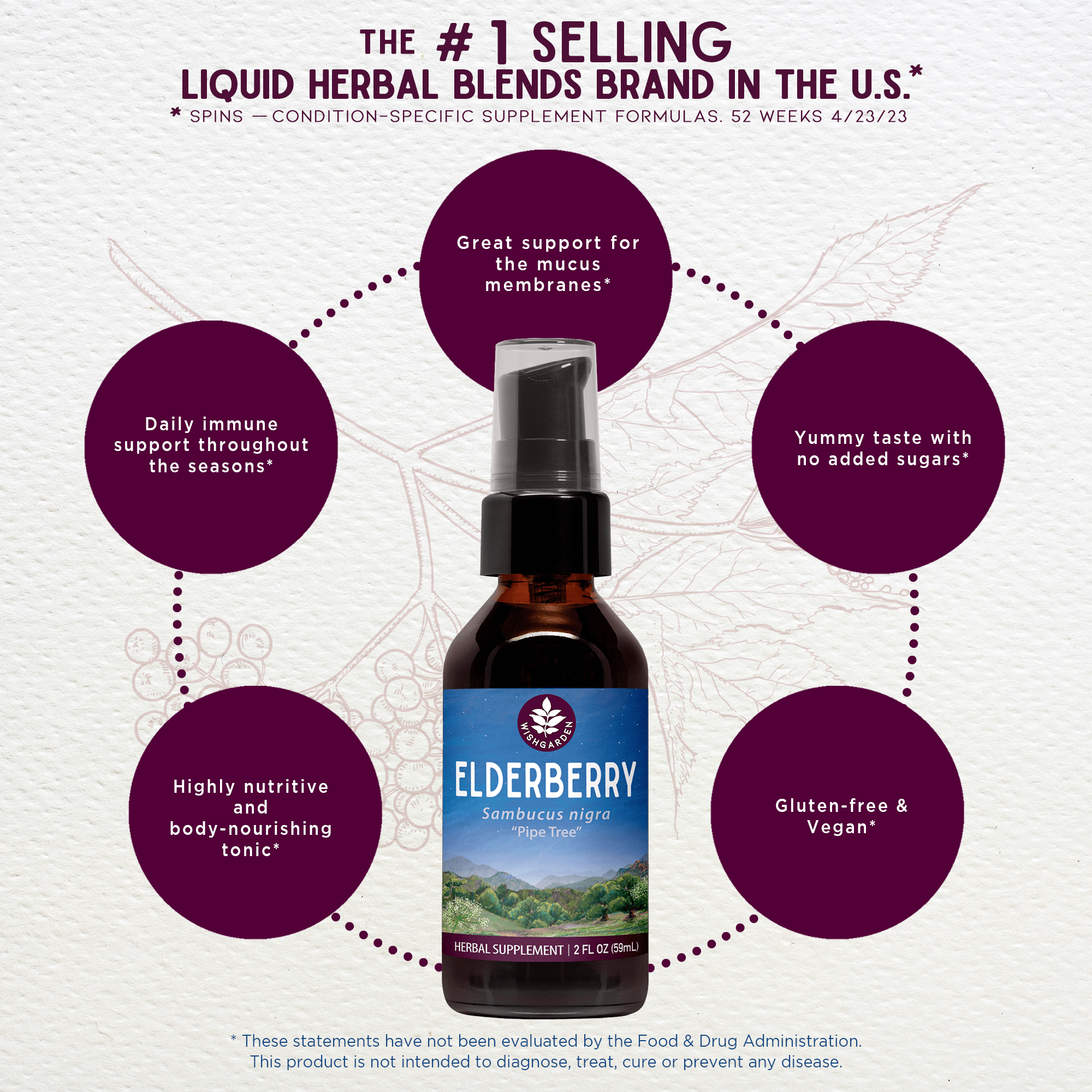 Elderberry Tincture