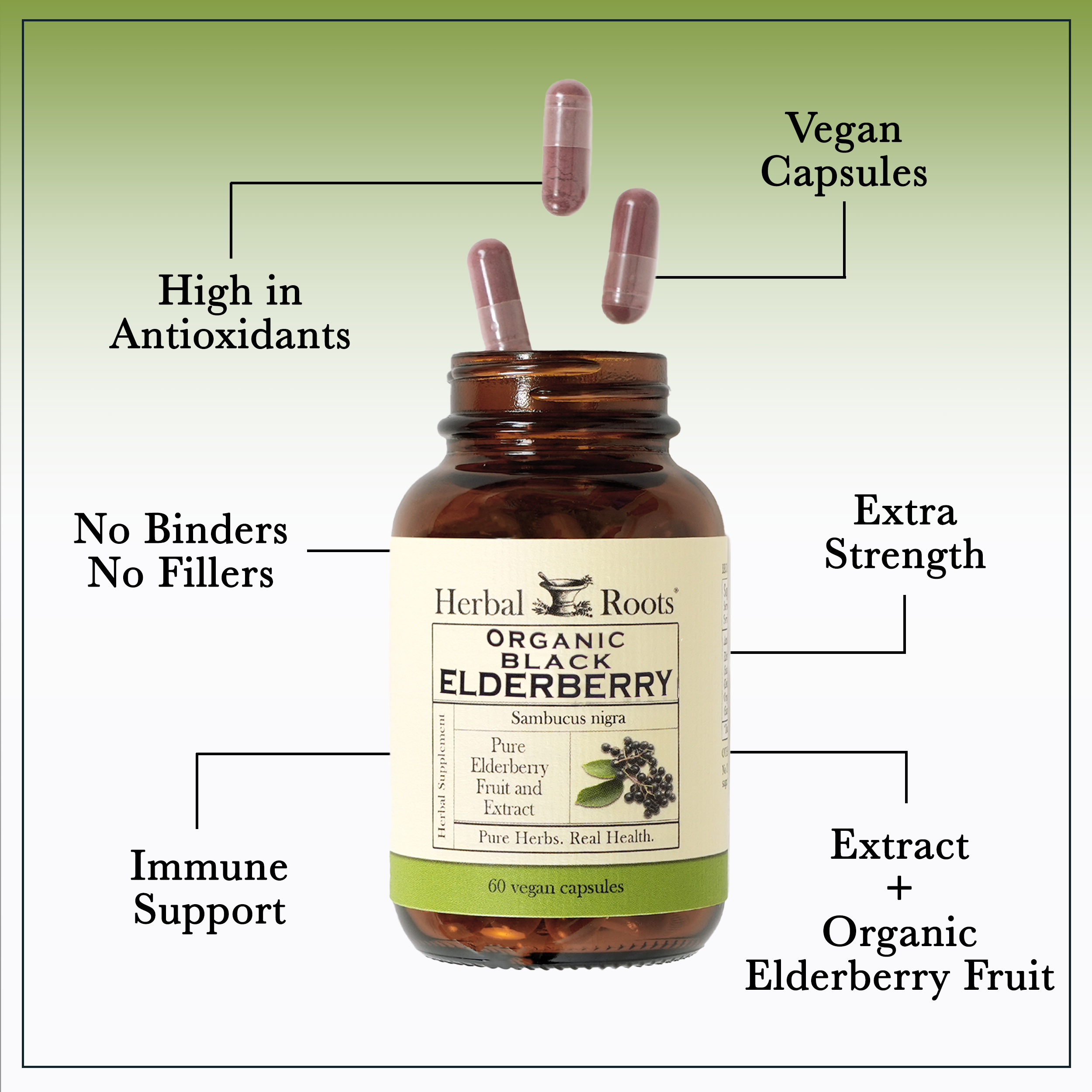 Organic Black Elderberry