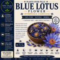 Blue Lotus | Dreamy Calm & Spiritual Awakening