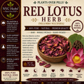 Red Lotus | Relaxation, Meditation & Heart-Opening Support