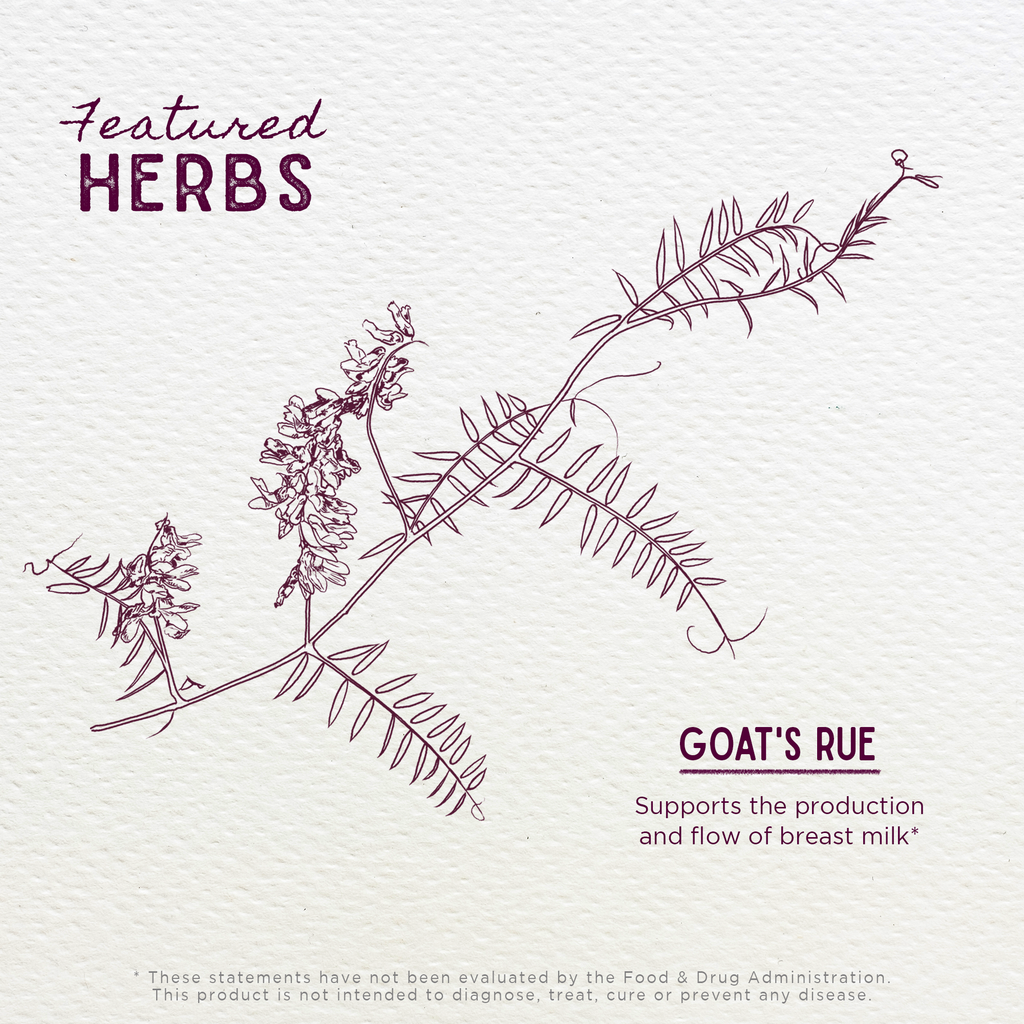 Goat's Rue, Lactation Aid