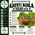 Gotu Kola c/s