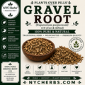Gravel Root | Kidney Stone, Kidney & Urinary Tract Support