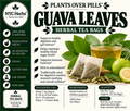Guava Leaves