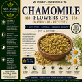 Chamomile | Calm Nerves & Restful Sleep & Skin Soothing Support