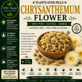 Chrysanthemum Flower | Cooling Cleanse & Eye Support