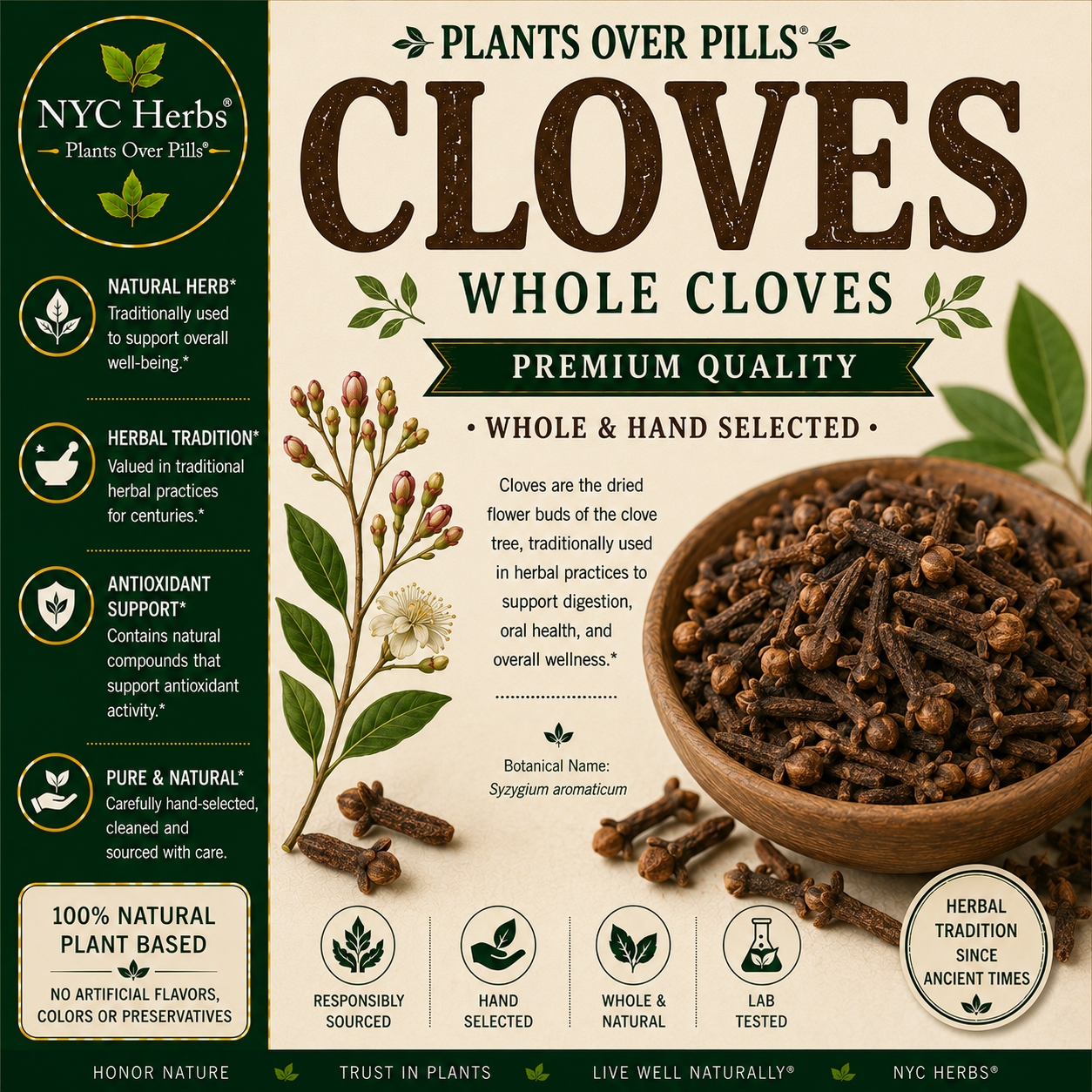 Cloves Whole | Antimicrobial Power & Digestive Relief