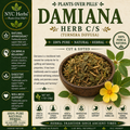 Damiana Herb | Mood Uplift & Passion Tonic