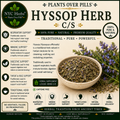 Hyssop Herb c/s