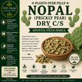 Nopal (Prickly Pear) | Blood Sugar Balance & Digestive Wellness