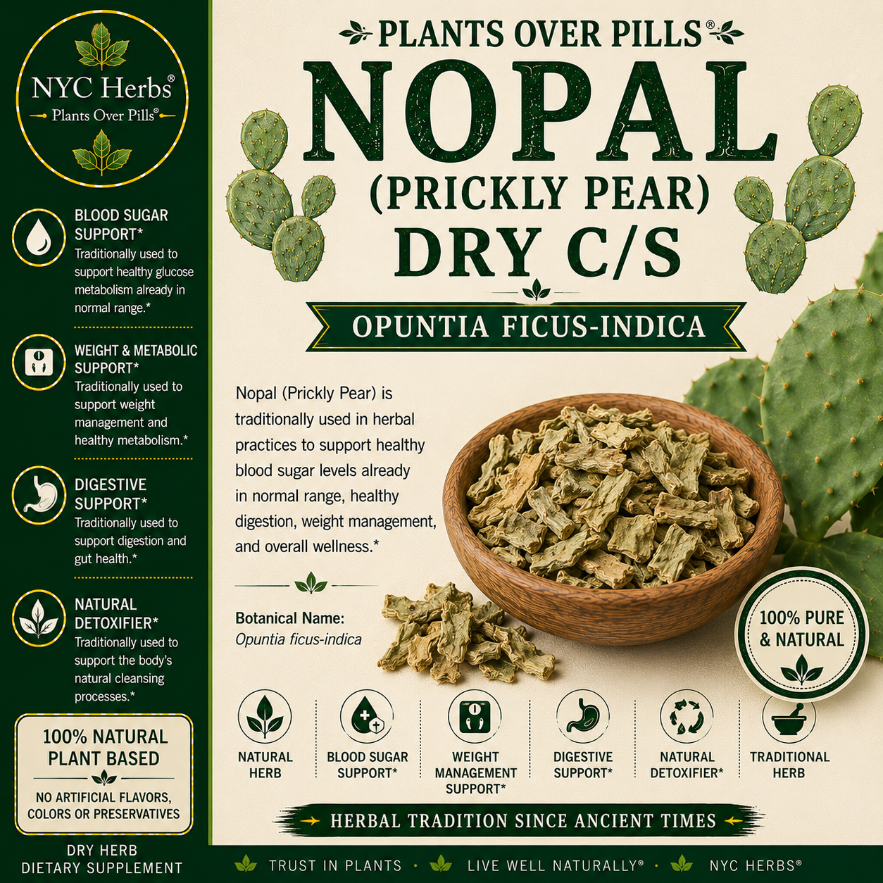 Nopal (Prickly Pear) | Blood Sugar Balance & Digestive Wellness