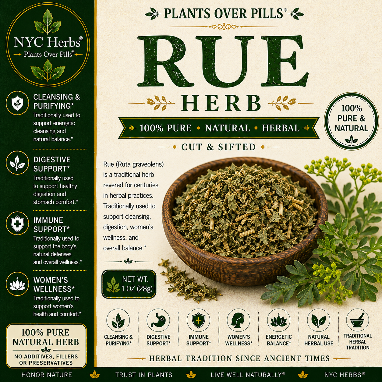 Rue Herb (Ruda) | Protection, Digestive & Circulatory Support