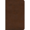 ESV Concise Study Bible(tm) (Trutone, Brown)