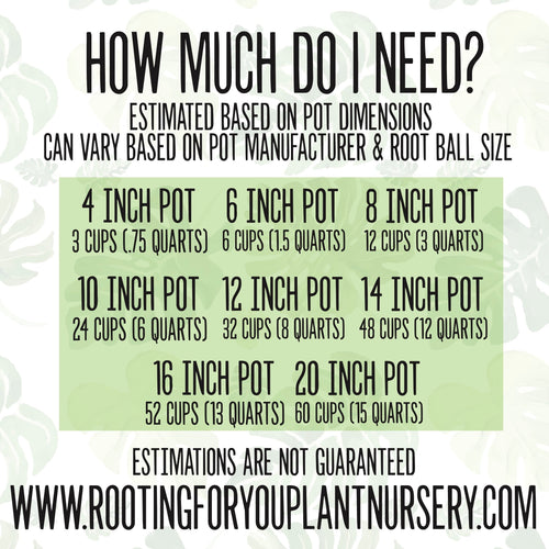 Azalea Premium Potting Mix