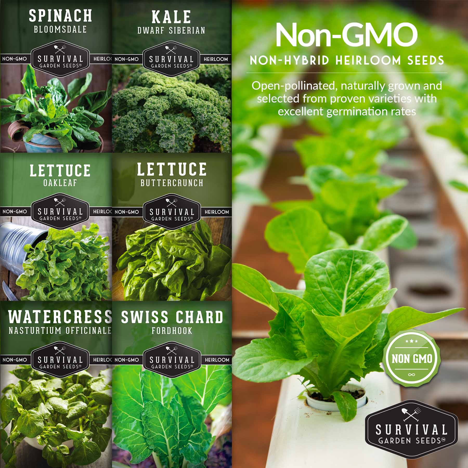 Hydroponic Vegetable Seeds Kit – 6 Heirloom Leafy Greens for Aerogardens, Towers & Indoor Year-Round Growing
