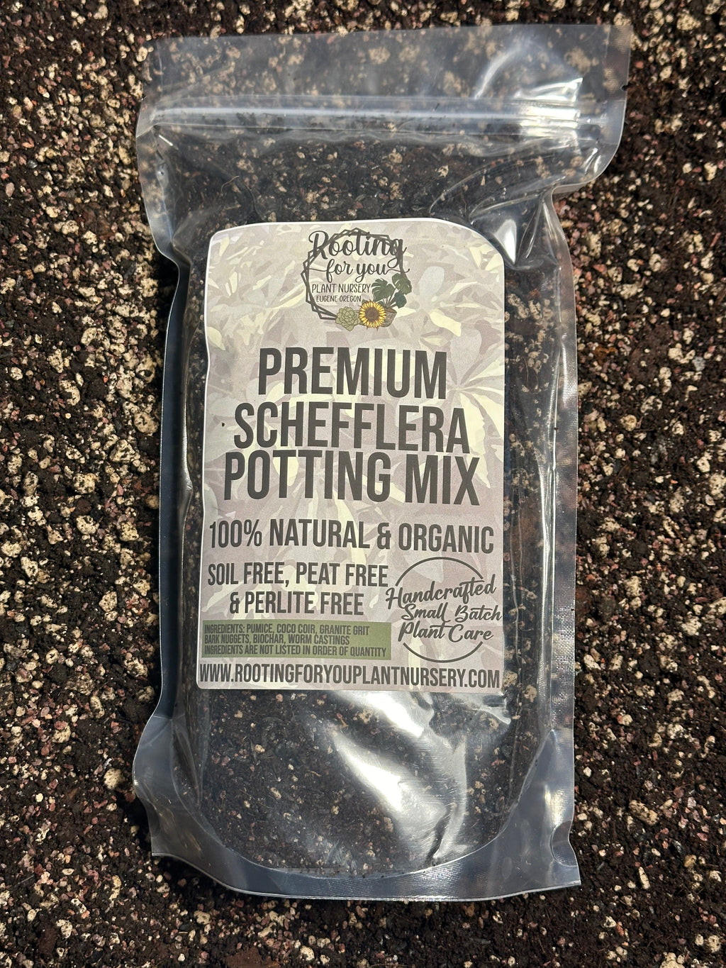 Schefflera Premium Potting Mix