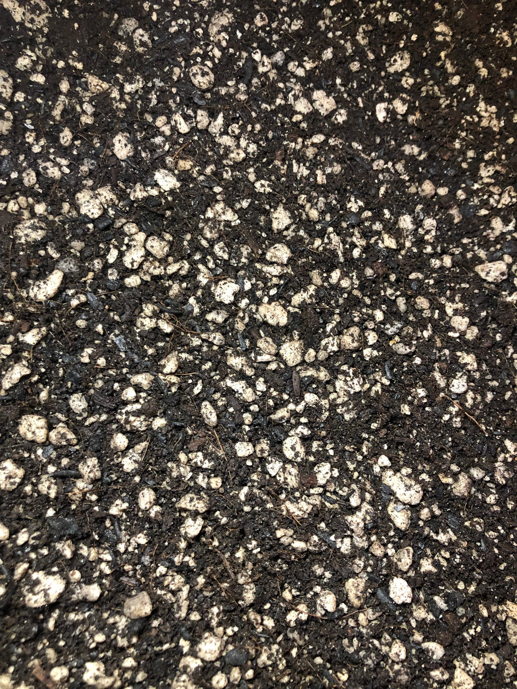 Oxalis Premium Potting Mix