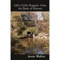 Life's Little Nuggets from the Book of Genesis