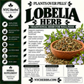 Lobelia Herb
