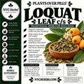Loquat (Nipero)