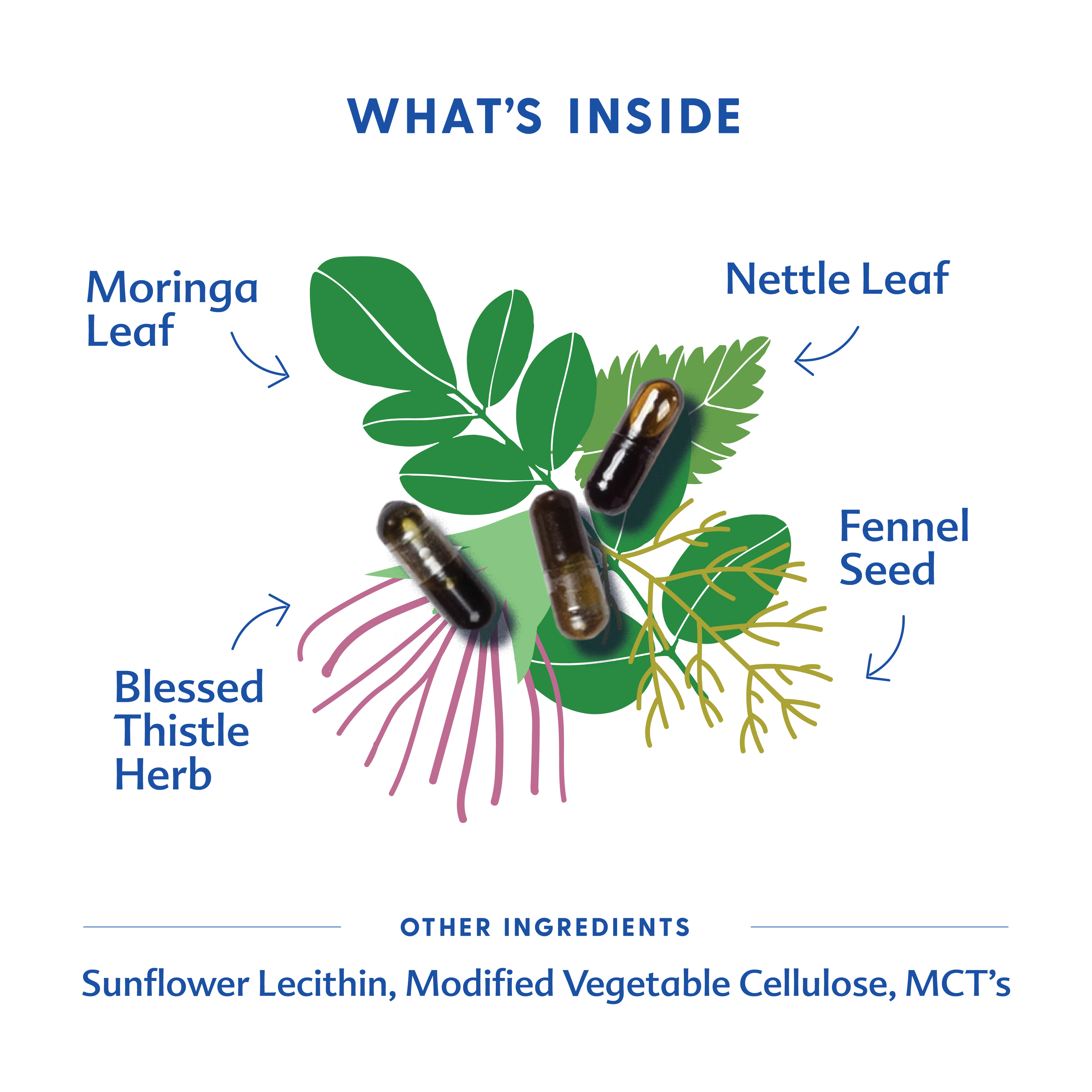 More Milk® Moringa - Liquid Capsules